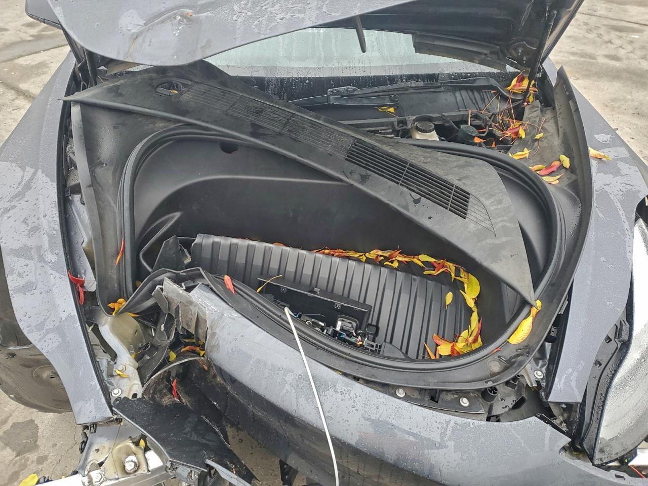 2023 TESLA MODEL 3 photo 11