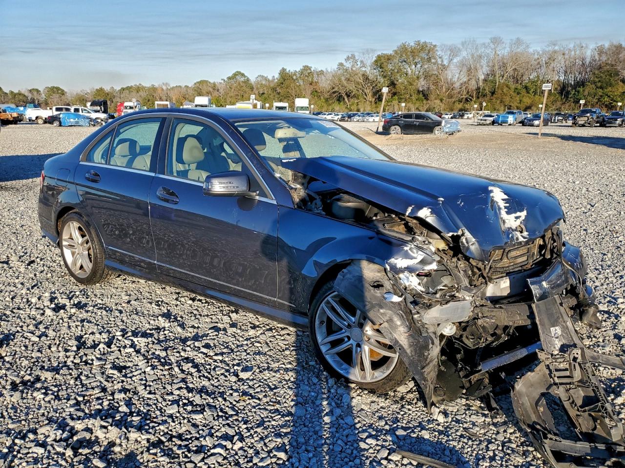 2014 MERCEDES-BENZ C 250 photo 10
