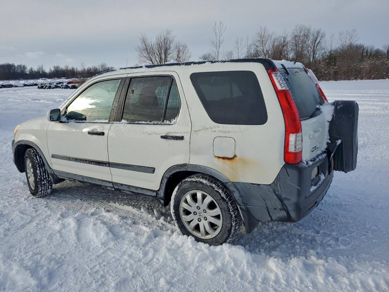 2005 HONDA CR-V EX photo 4