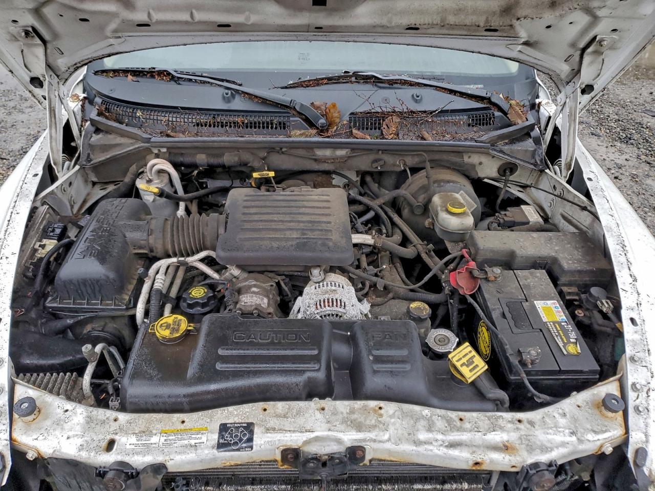 2002 DODGE DAKOTA QUAD SPORT photo 31