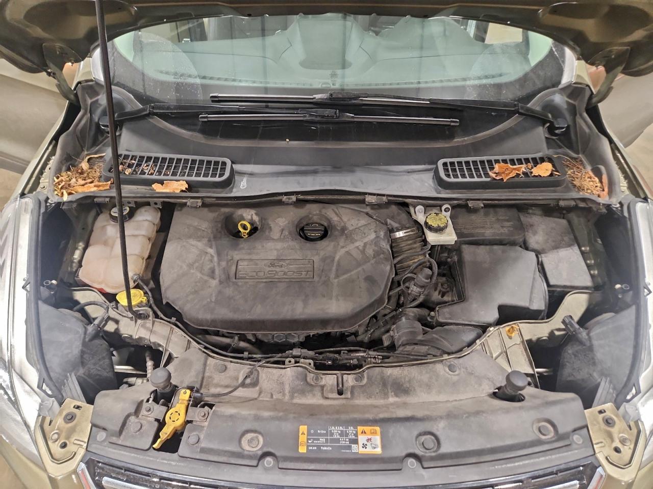 2013 FORD ESCAPE SEL photo 11
