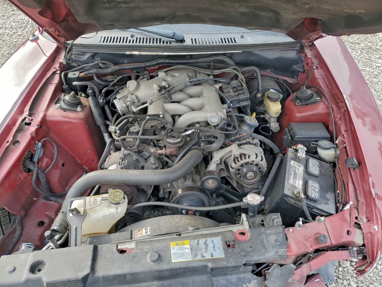 2004 FORD MUSTANG photo 11