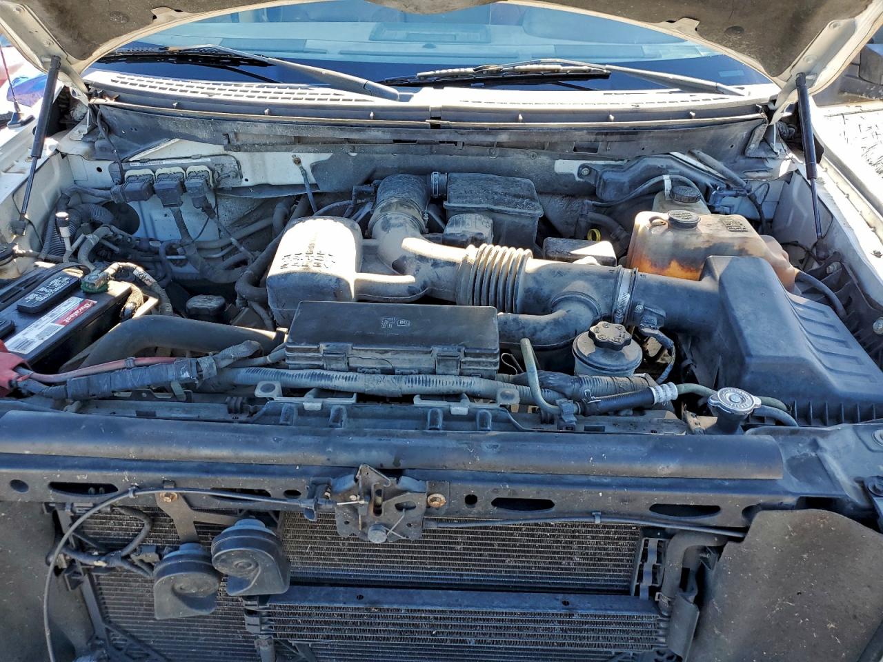 2010 FORD F150 SUPERCREW photo 11