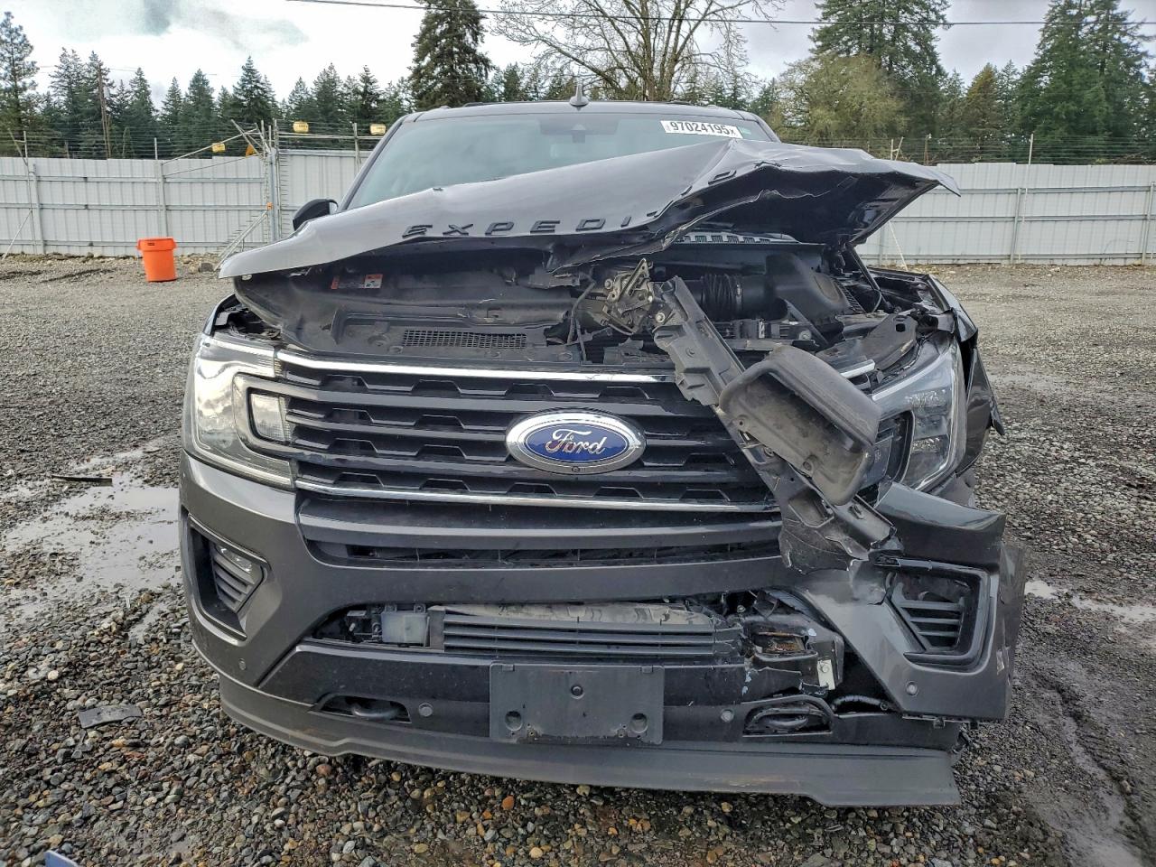 2019 FORD EXPEDITION LIMITED photo 9