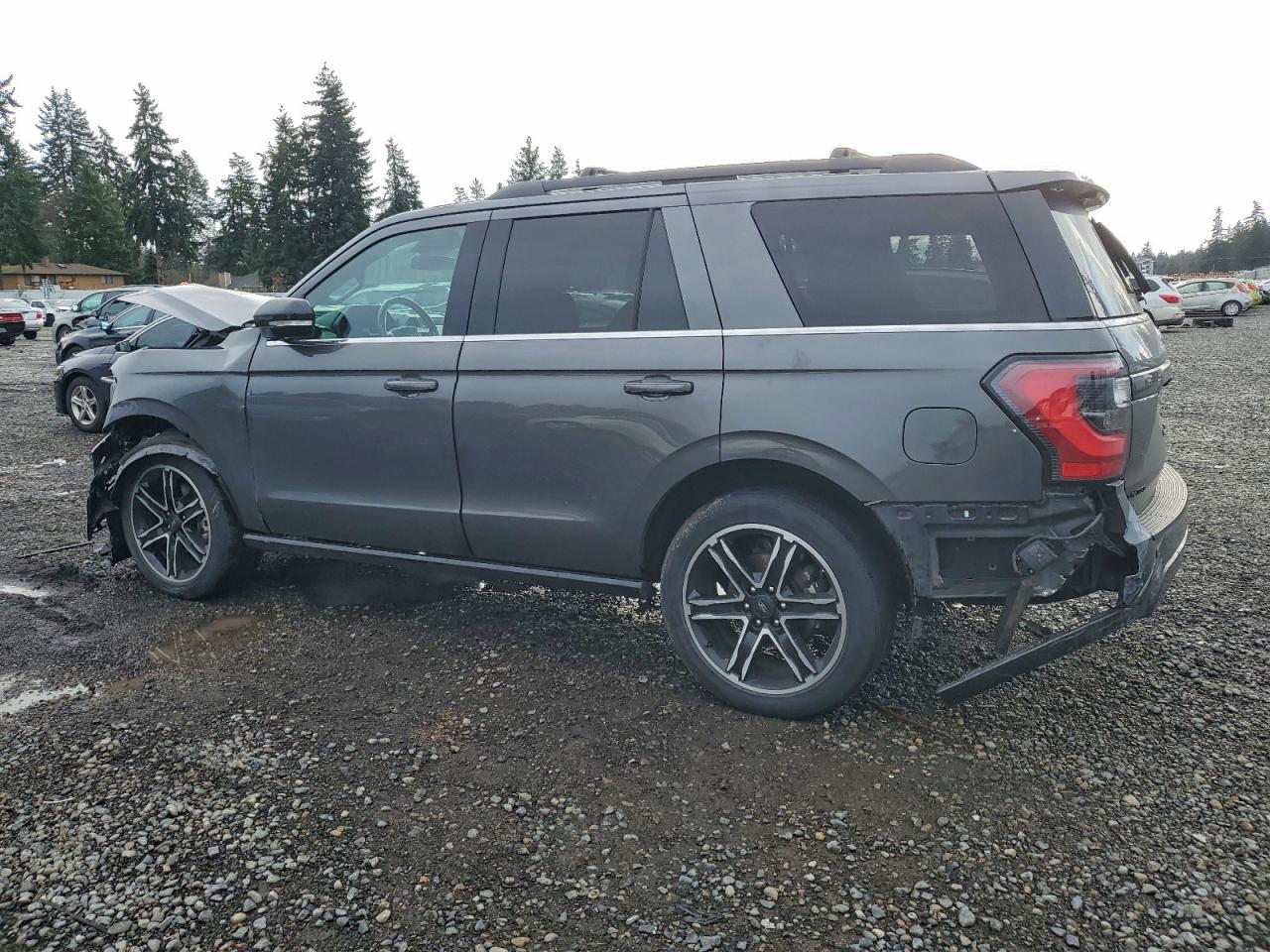 2019 FORD EXPEDITION LIMITED photo 3