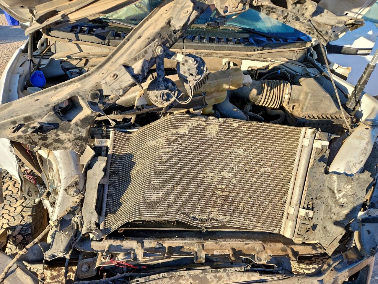 2020 FORD F 150 photo 11