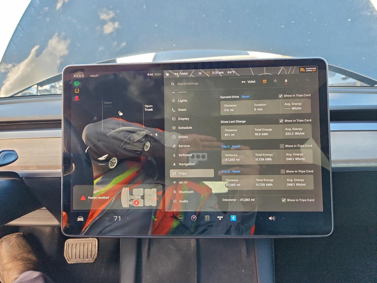 2021 TESLA MODEL 3 photo 9