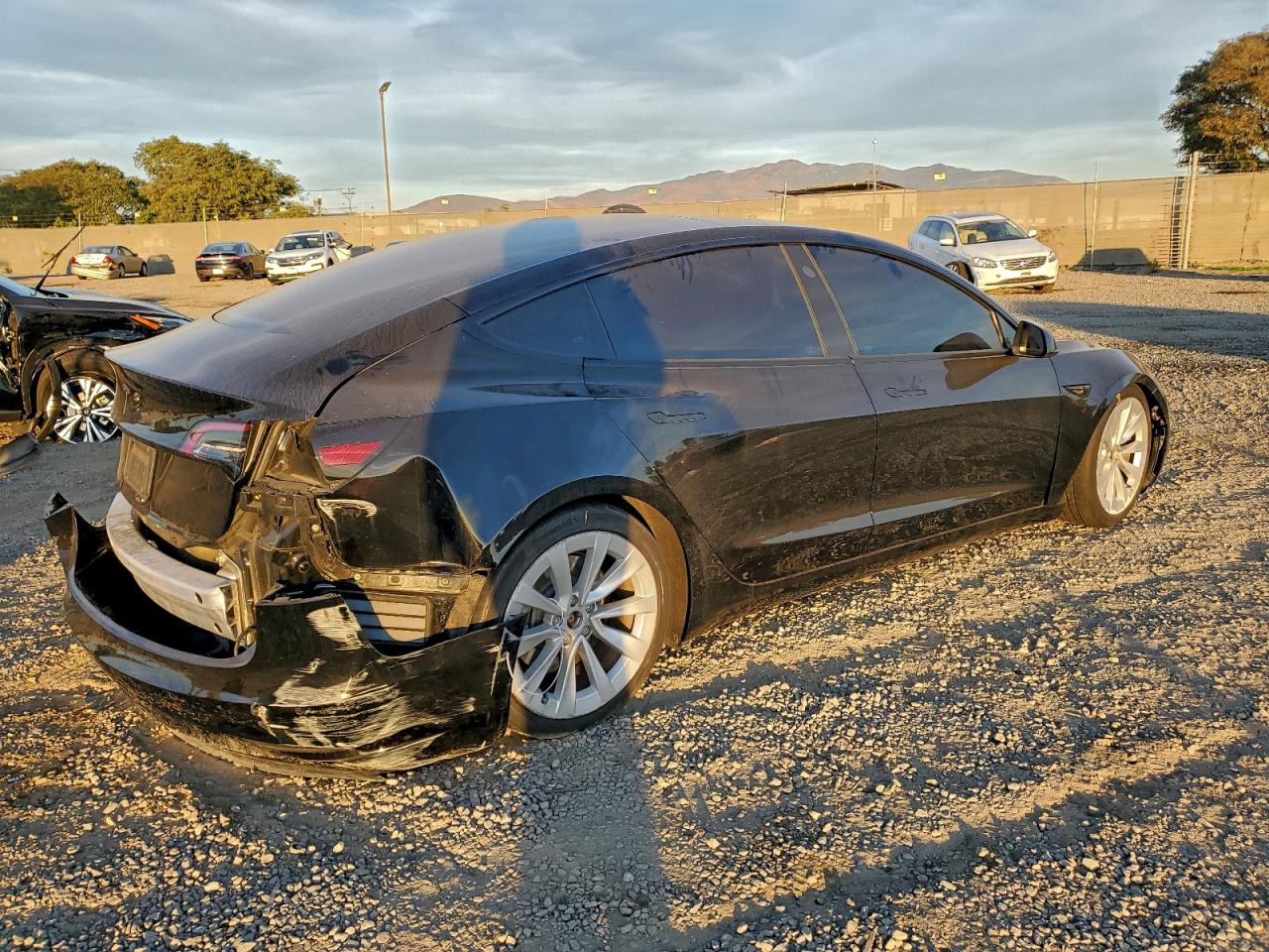 2021 TESLA MODEL 3 photo 3