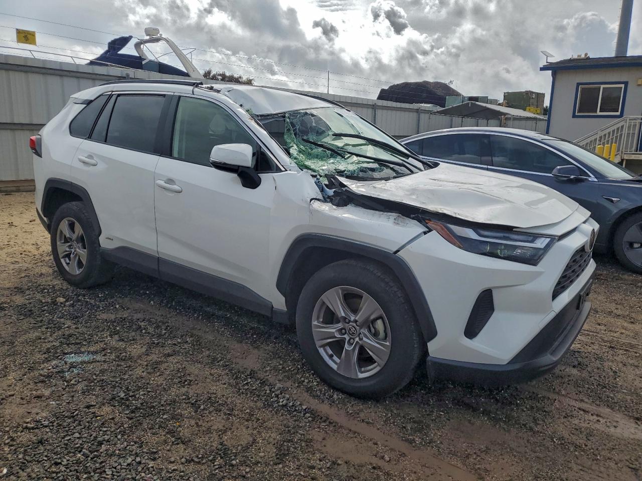 2025 TOYOTA RAV4 XLE photo 7