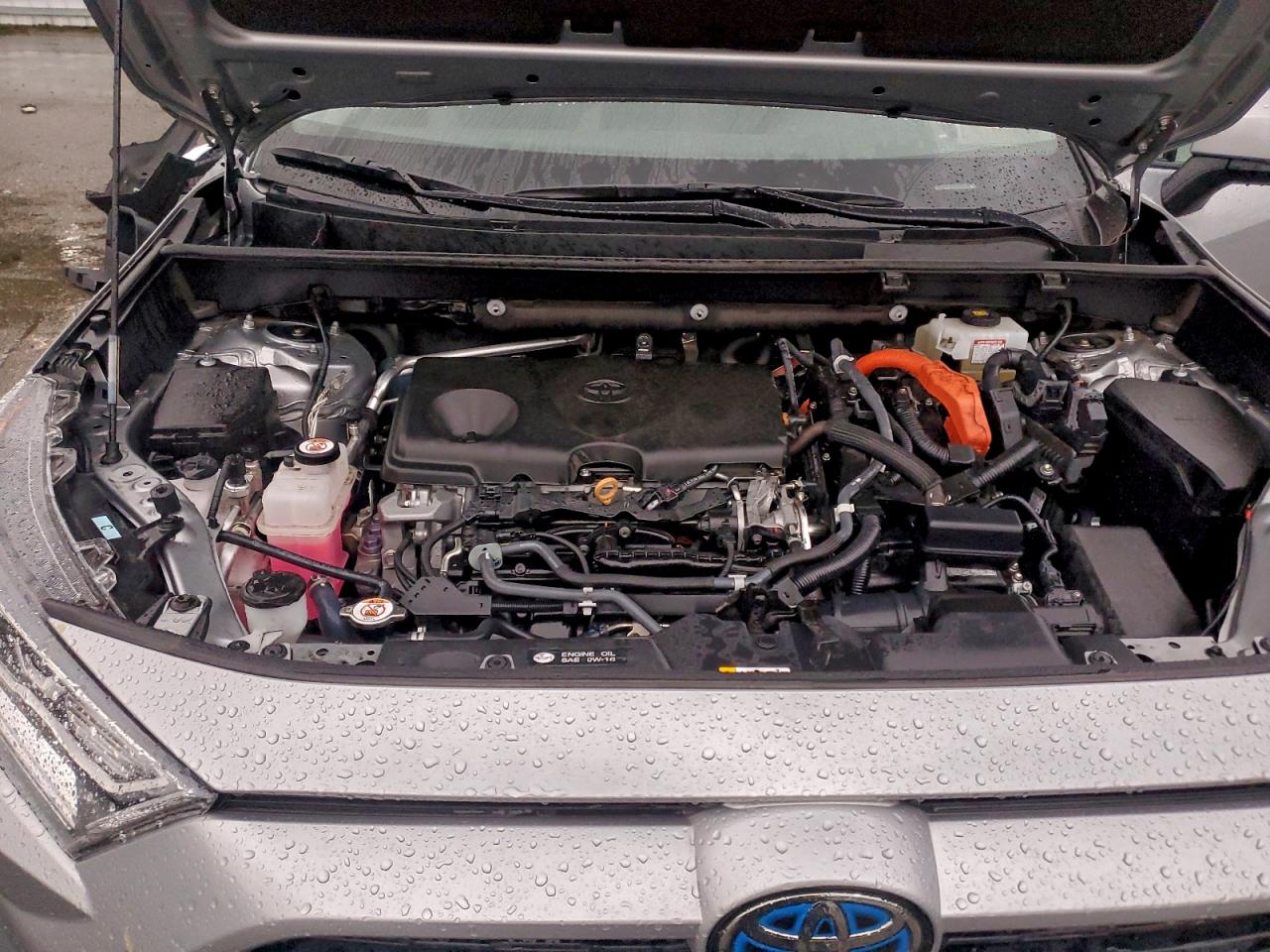 2019 TOYOTA RAV4 XLE photo 12