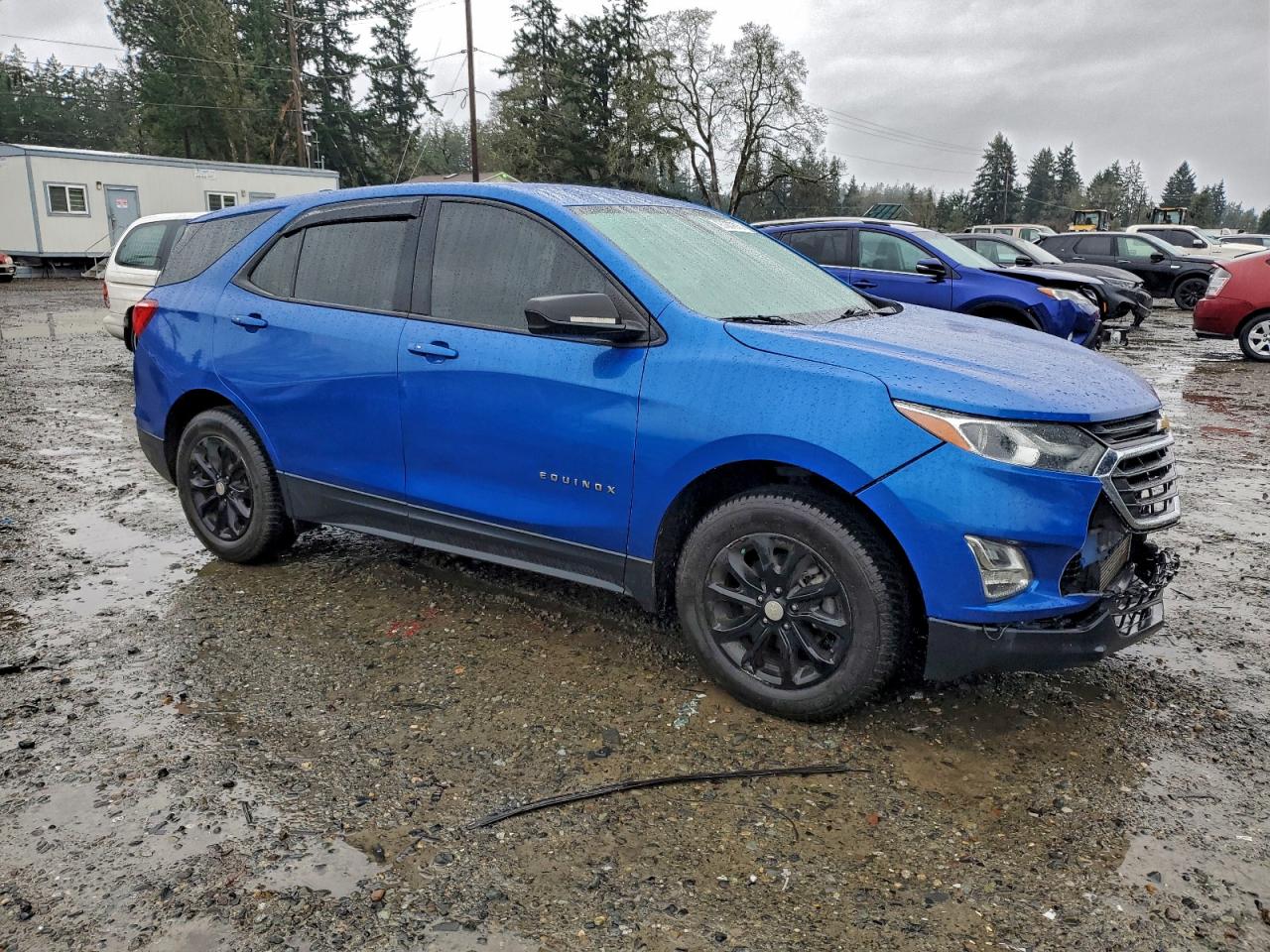 2019 CHEVROLET EQUINOX LS photo 10