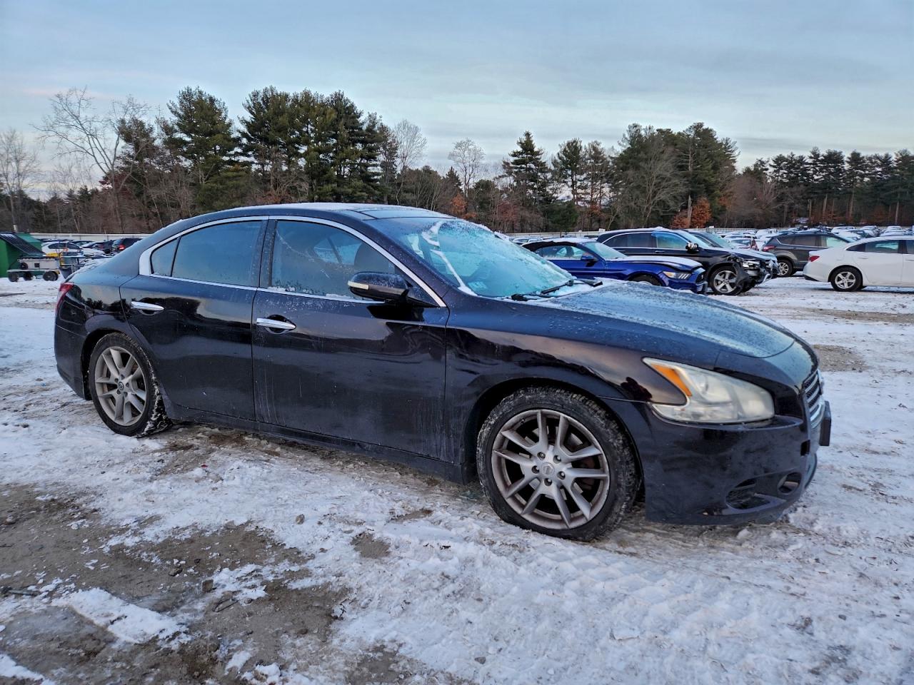2010 NISSAN MAXIMA S photo 4
