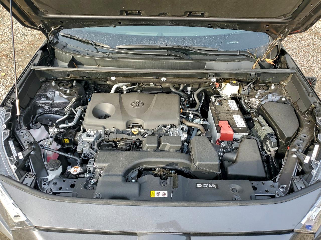 2025 TOYOTA RAV4 XLE photo 11