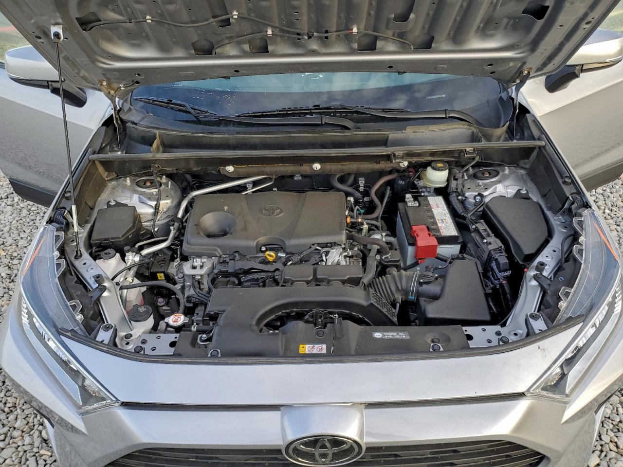2019 TOYOTA RAV4 XLE photo 12