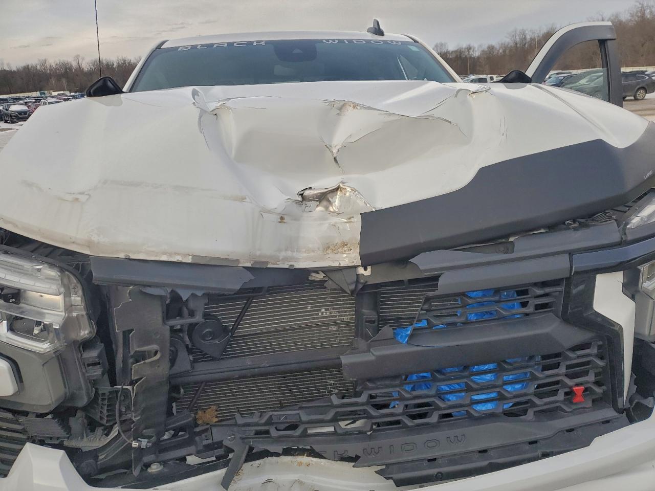 2023 CHEVROLET SILVERADO K1500 RST photo 21