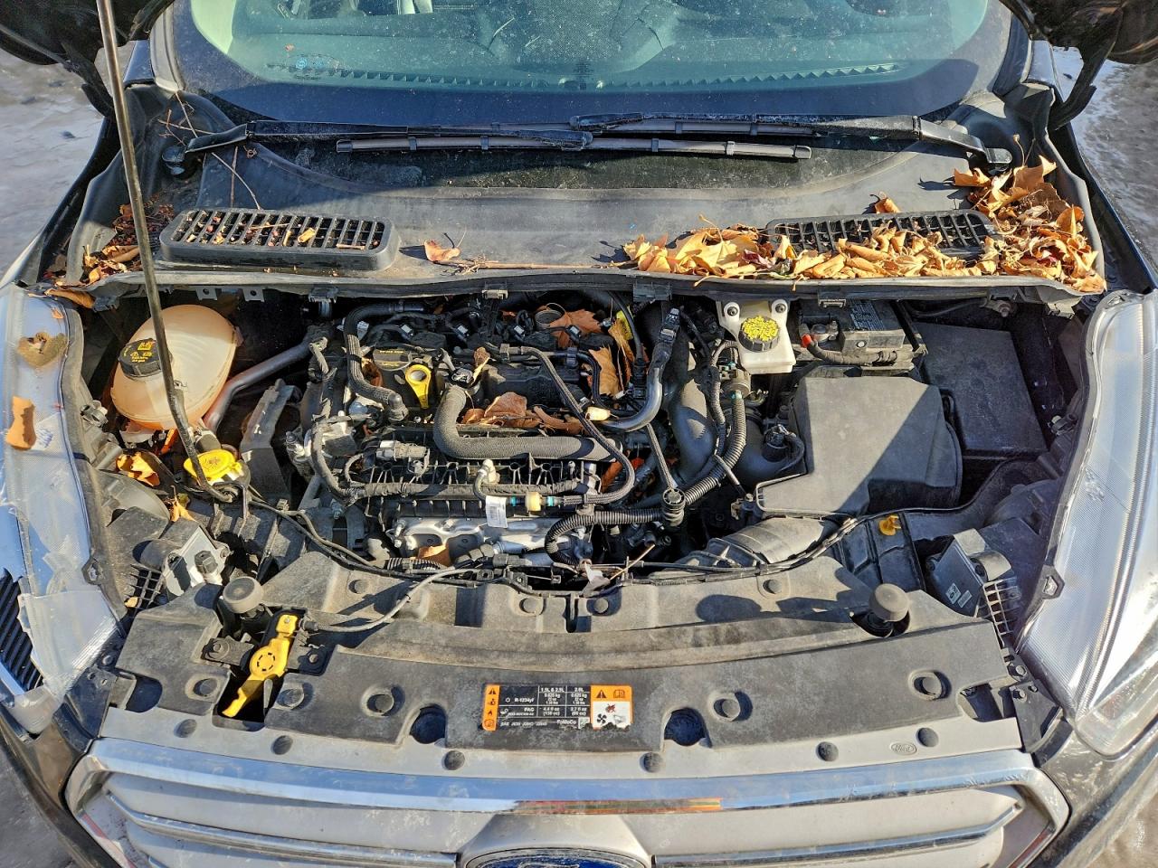 2019 FORD ESCAPE SEL photo 23