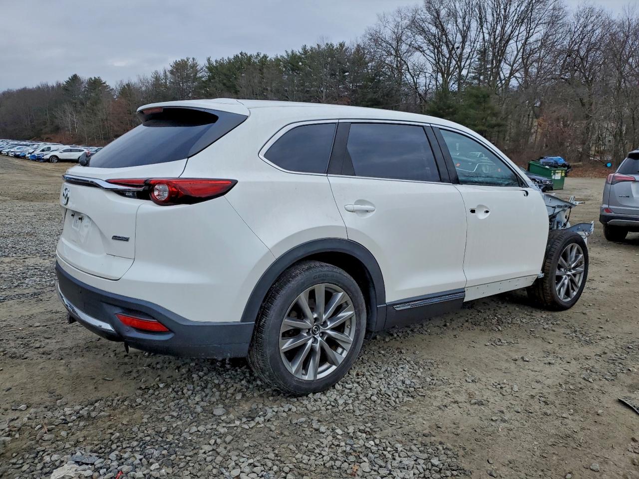 2018 MAZDA CX-9 SIGNATURE photo 7