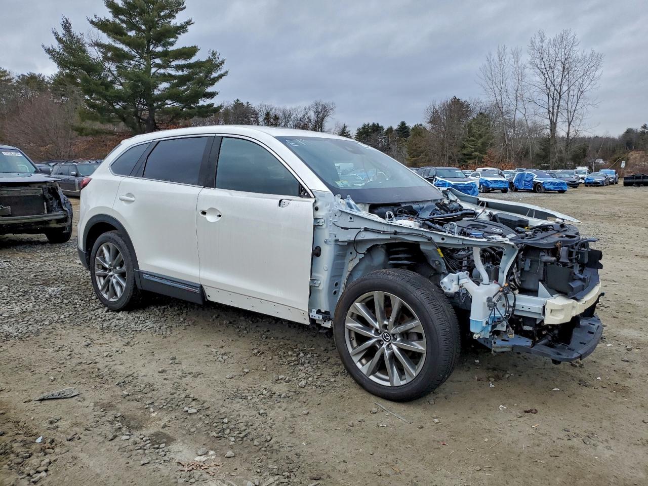 2018 MAZDA CX-9 SIGNATURE photo 10