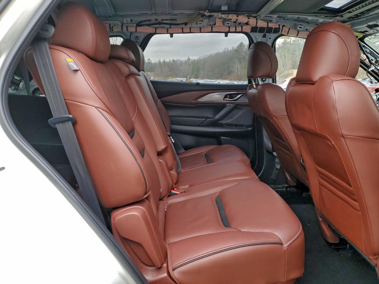 2018 MAZDA CX-9 SIGNATURE photo 31