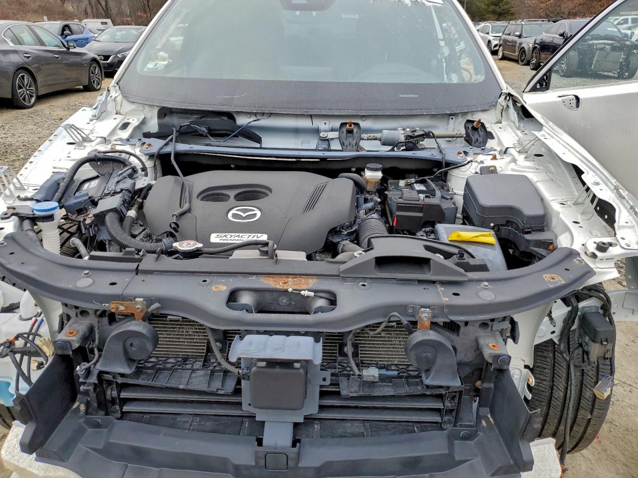 2018 MAZDA CX-9 SIGNATURE photo 34