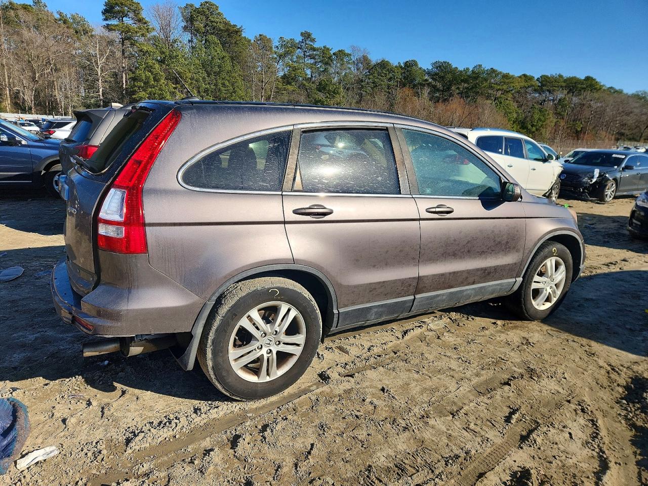 2011 HONDA CR-V EXL photo 5