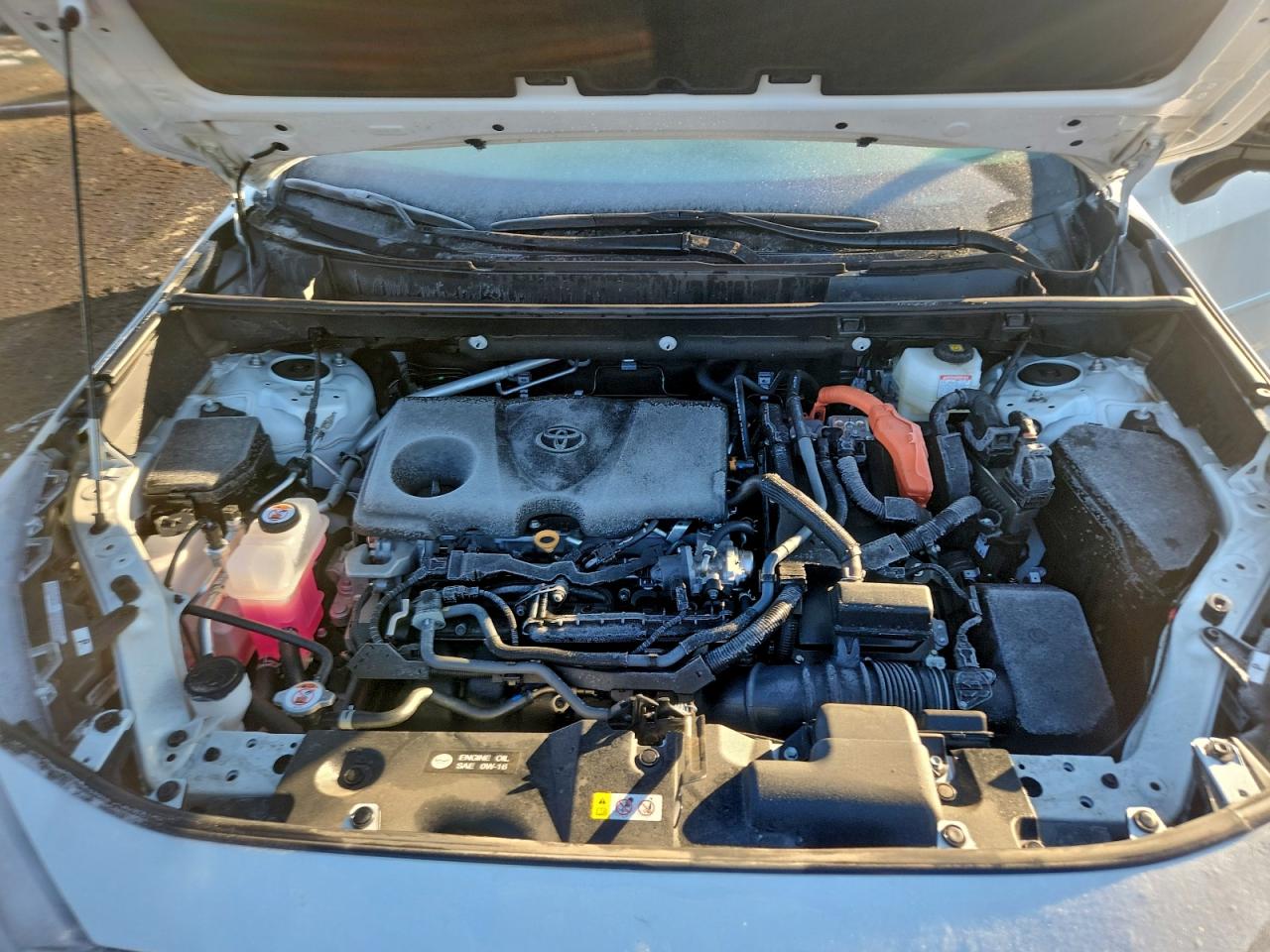 2025 TOYOTA RAV4 XSE photo 12