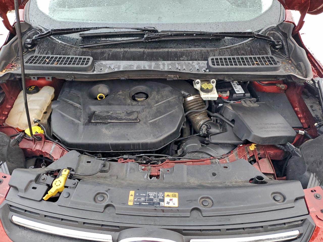 2014 FORD ESCAPE SE photo 12