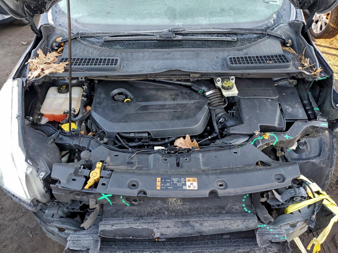 2014 FORD ESCAPE SE photo 12