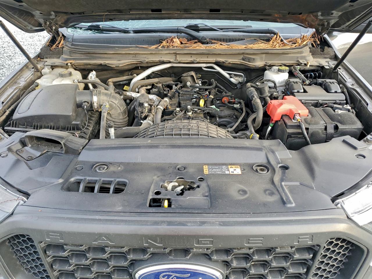 2019 FORD RANGER XL photo 21