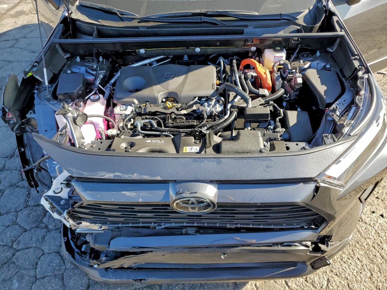 2025 TOYOTA RAV4 LE photo 12