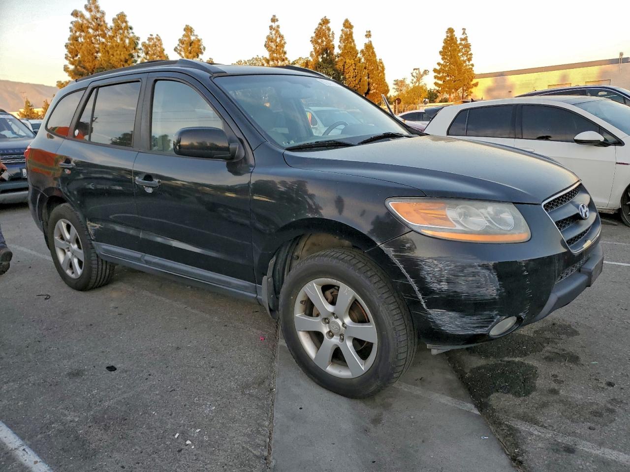 2009 HYUNDAI SANTA FE SE photo 4