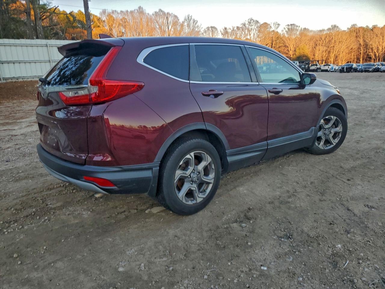 2019 HONDA CR-V EXL photo 7