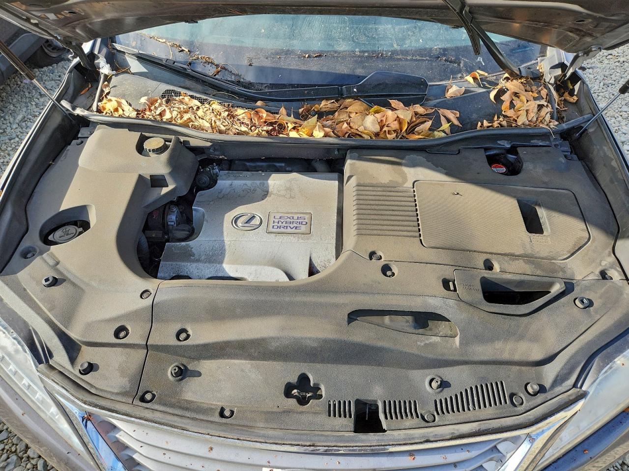 2015 LEXUS RX 450H photo 45