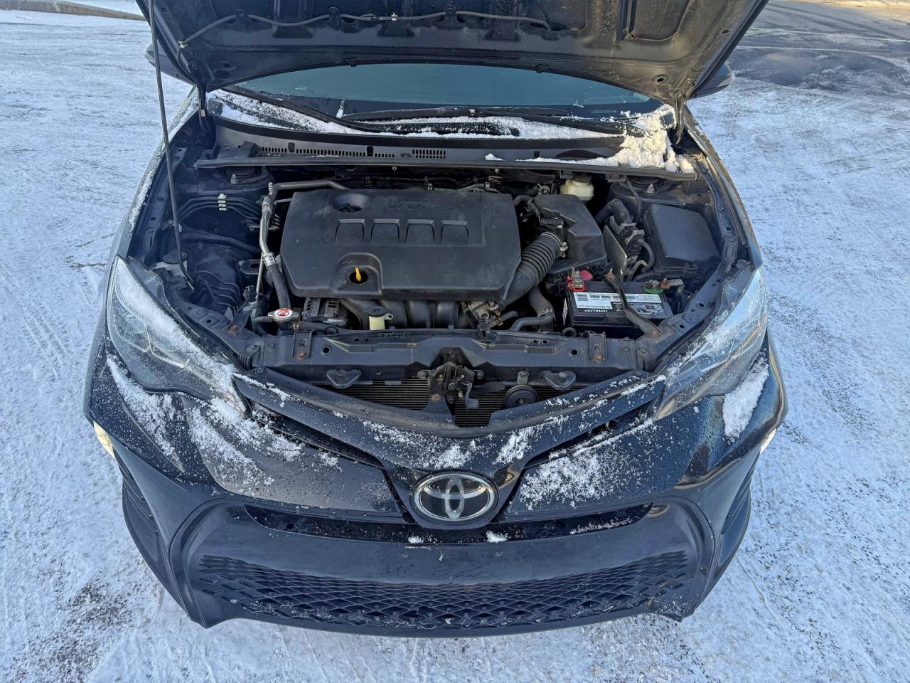2019 TOYOTA COROLLA L photo 7