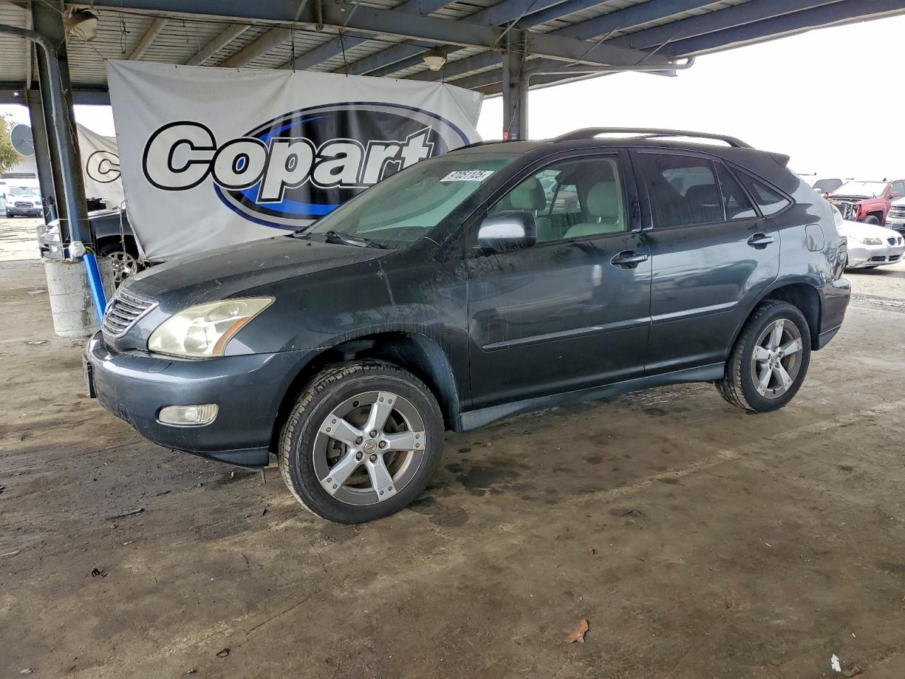 2005 LEXUS RX