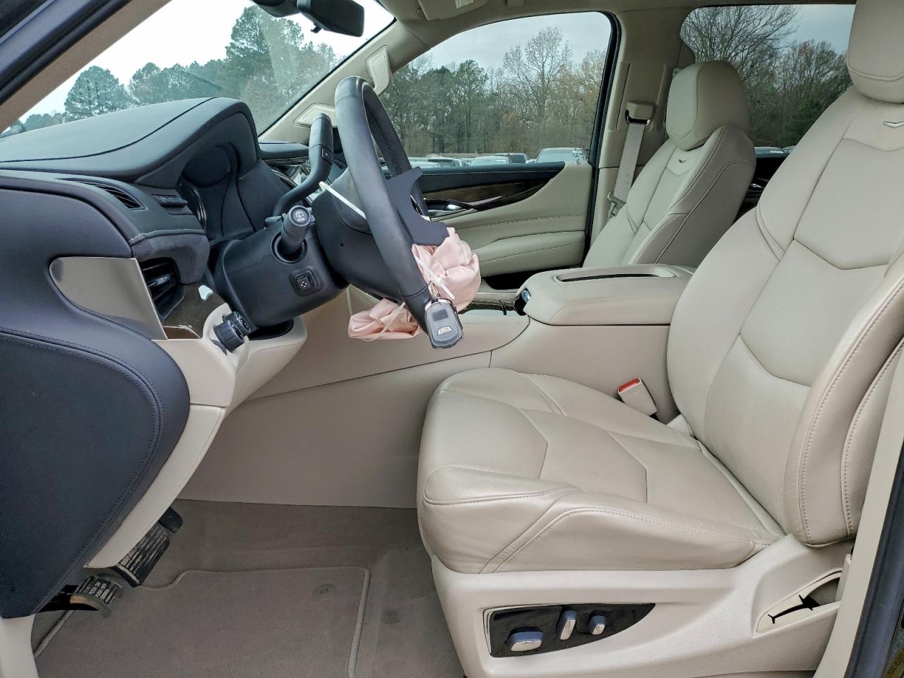 2020 CADILLAC ESCALADE LUXURY photo 13