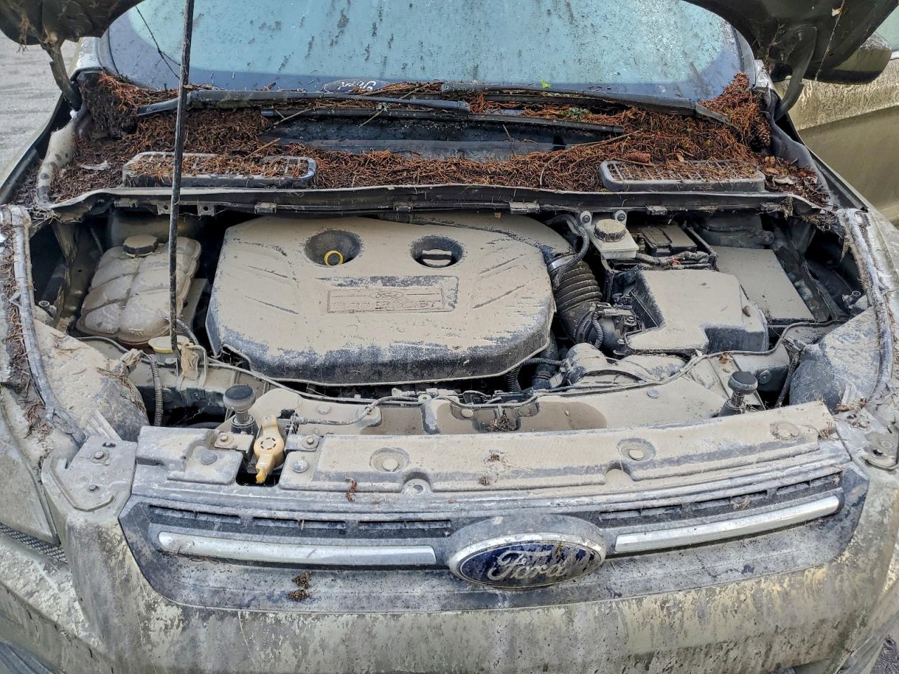 2013 FORD ESCAPE SE photo 12