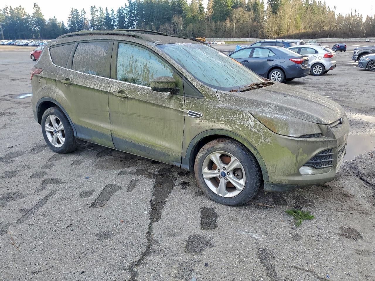 2013 FORD ESCAPE SE photo 4