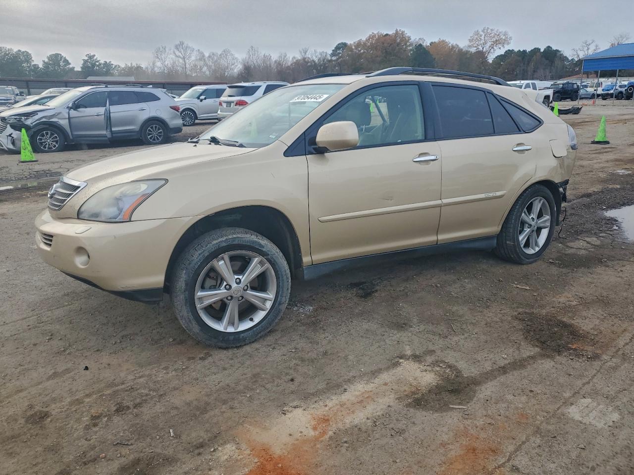 2008 LEXUS RX