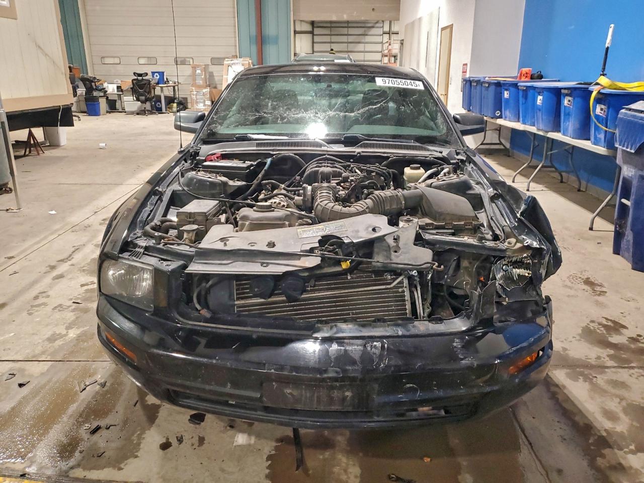 2006 FORD MUSTANG photo 13