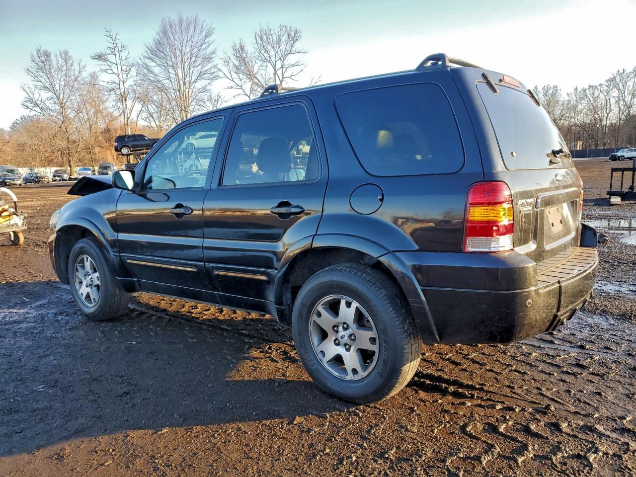 2005 FORD ESCAPE LIMITED photo 4