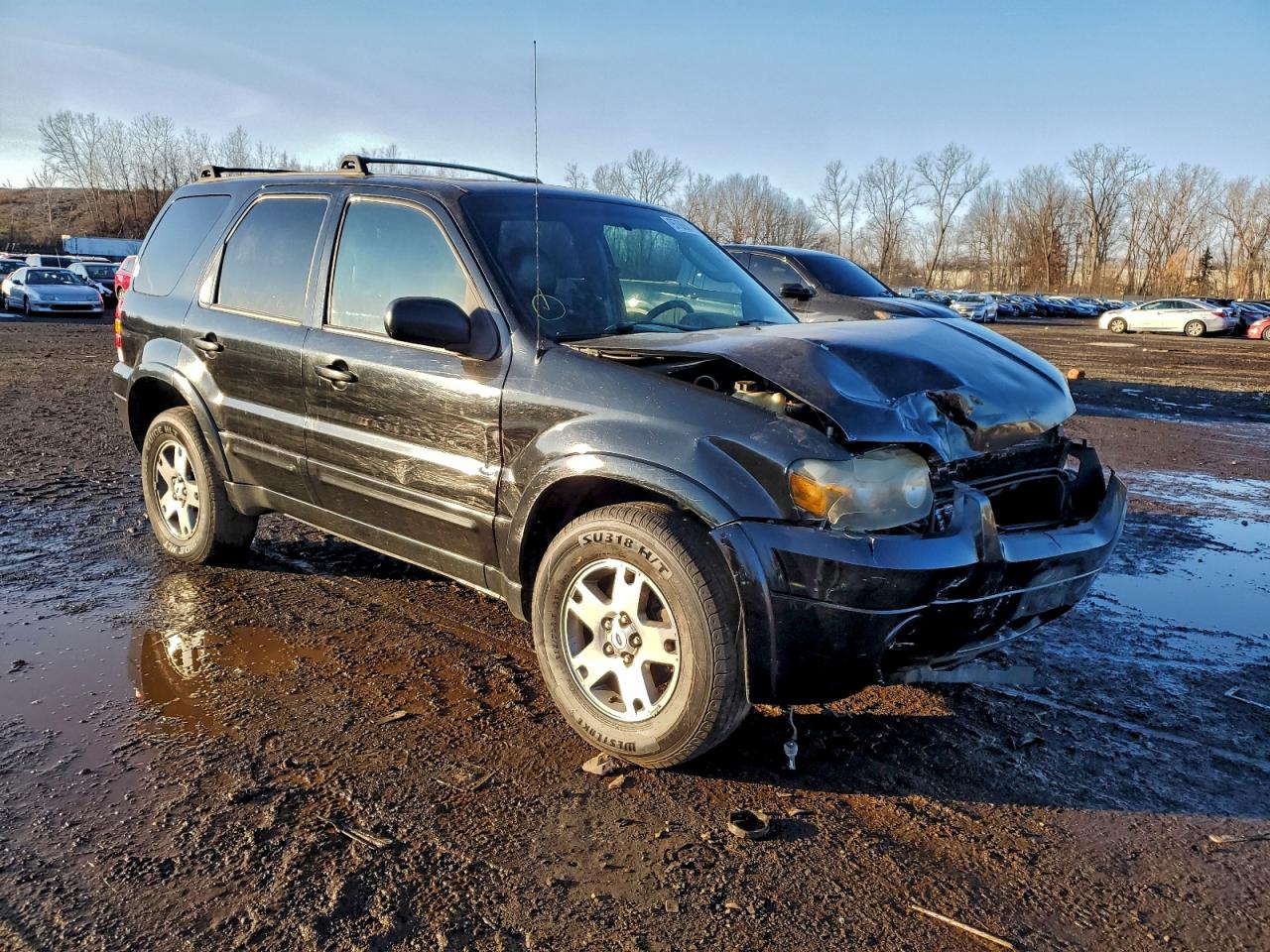 2005 FORD ESCAPE LIMITED photo 10