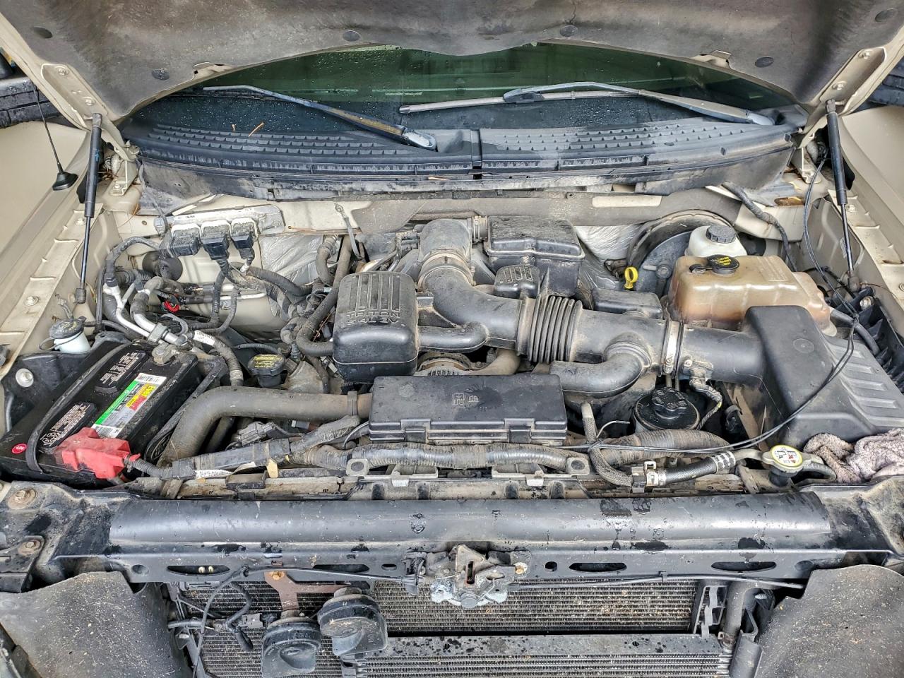 2009 FORD F150 SUPERCREW photo 11