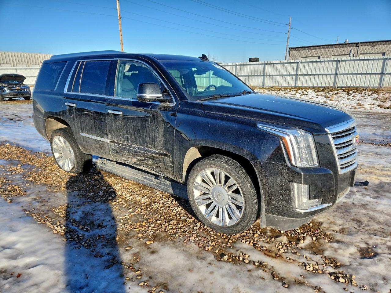 2020 CADILLAC ESCALADE PLATINUM photo 7