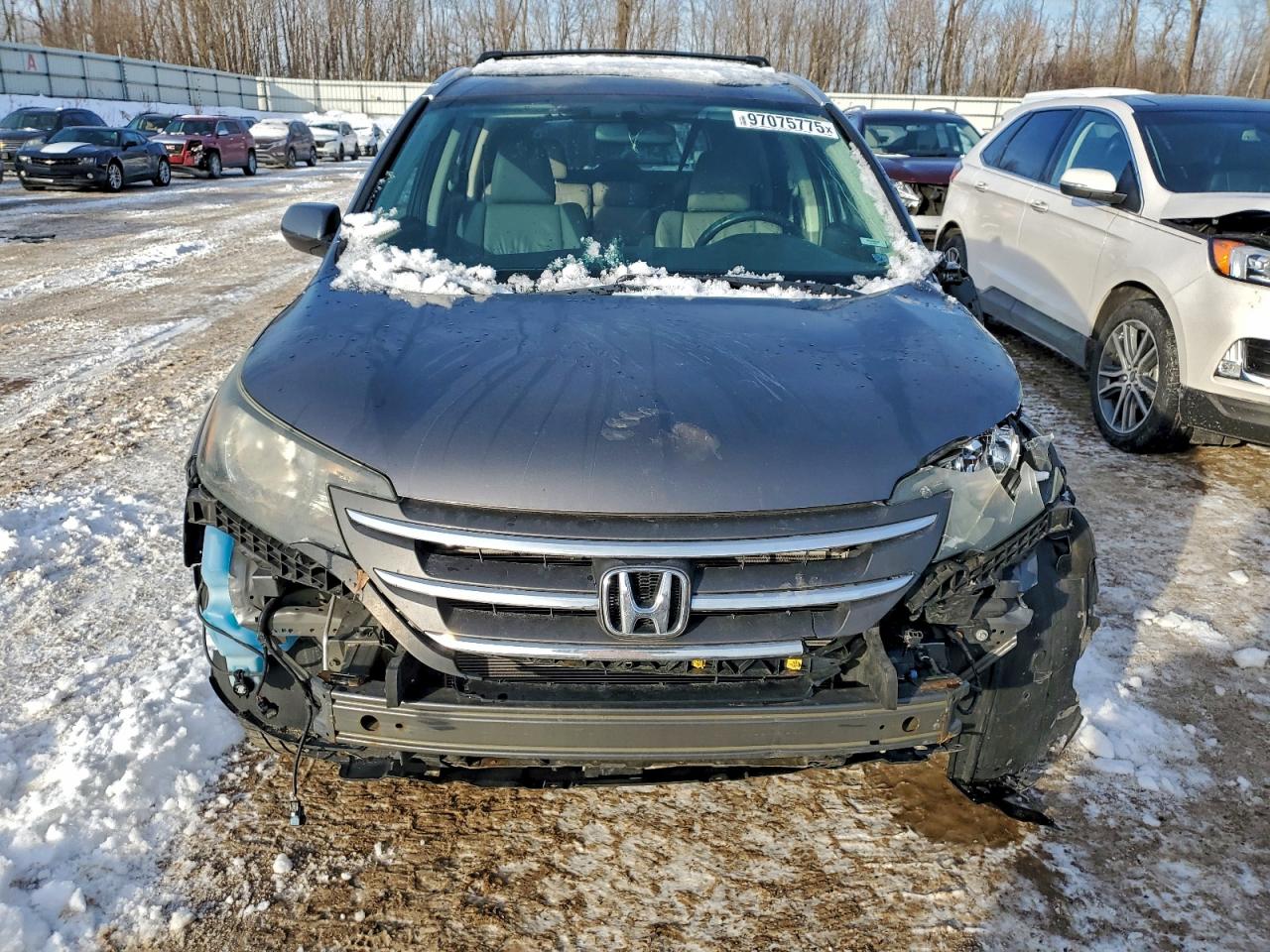 2014 HONDA CR-V EXL photo 5