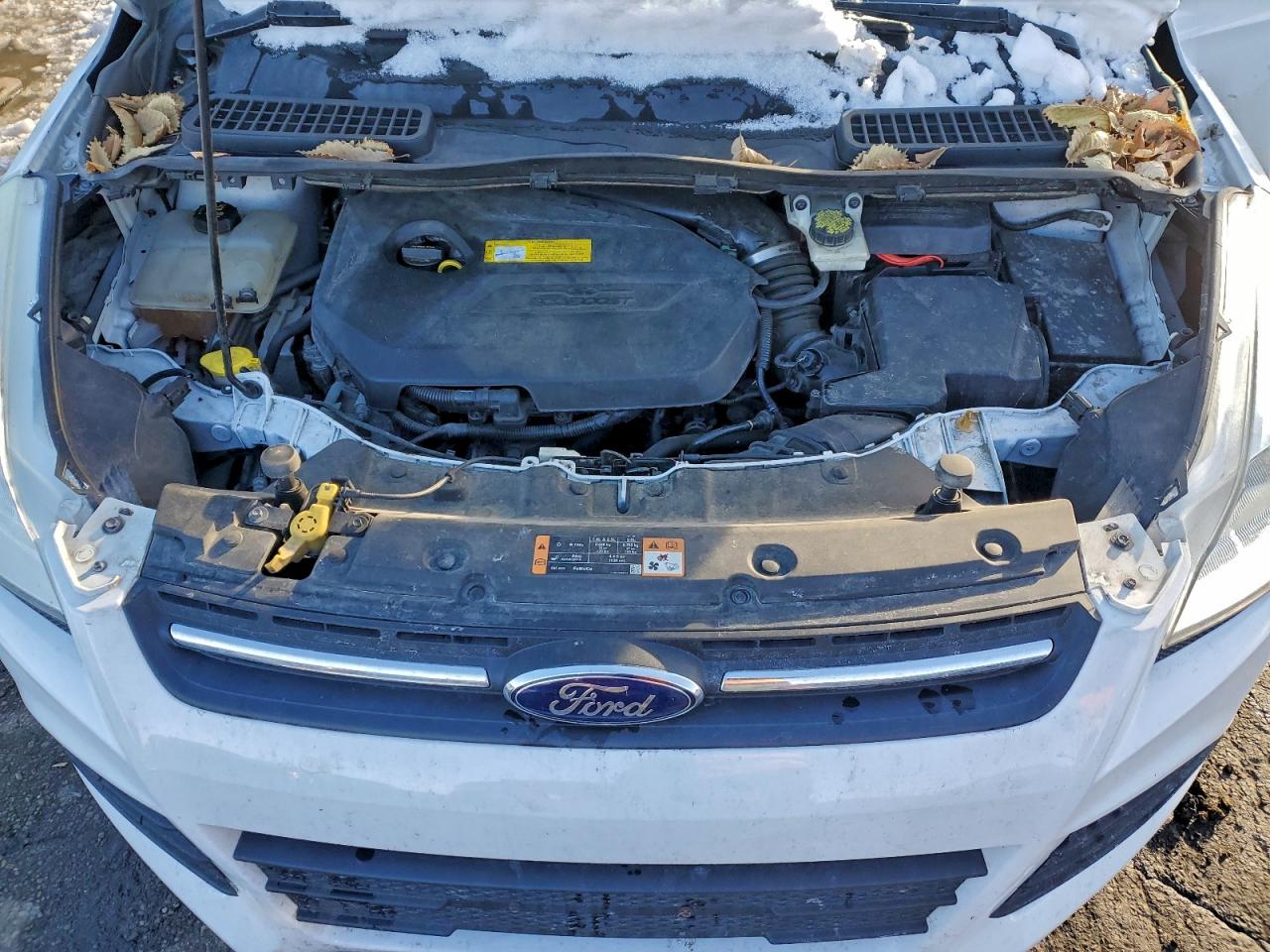 2015 FORD ESCAPE SE photo 34