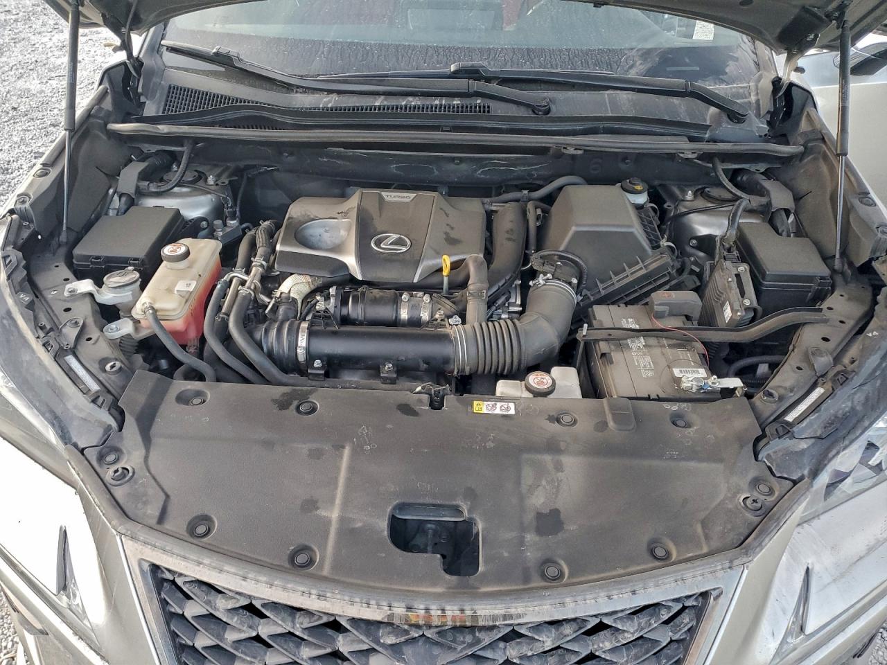 2020 LEXUS NX 300 F SPORT photo 12