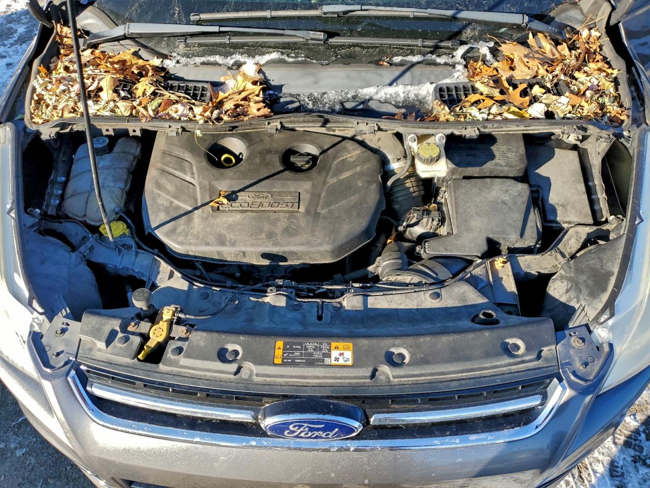 2013 FORD ESCAPE SEL photo 23