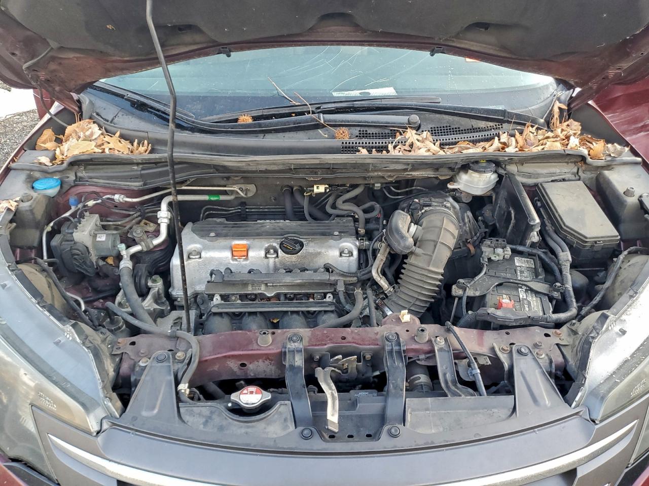 2014 HONDA CR-V EX photo 12