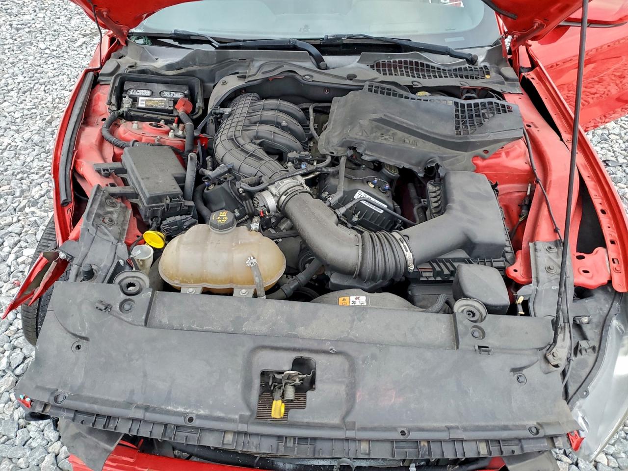 2015 FORD MUSTANG photo 11
